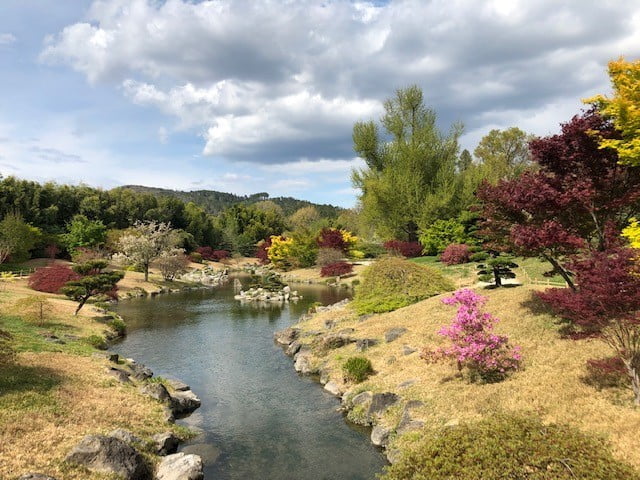 La bambouseraie 20190410 Månadslunch med ångtåg och bambuskogen