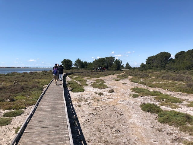 Vandring2, 5 maj 2019 Vandring vid Frontignan