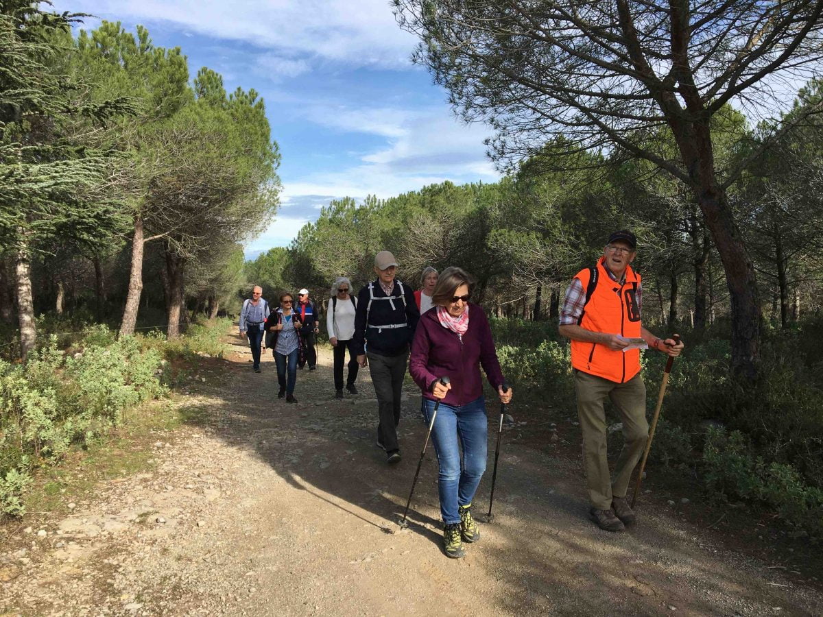 Gardiole3_liten Vandring i Gardiole-området