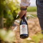 Vinresa till Châteauneuf-du-Pape