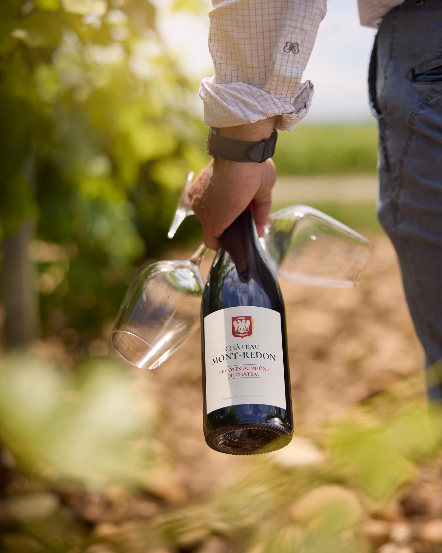 Vinresa till Châteauneuf-du-Pape