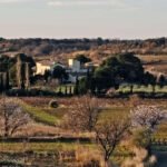 Vandring med lunch och vinprovning i Caux den 25 oktober