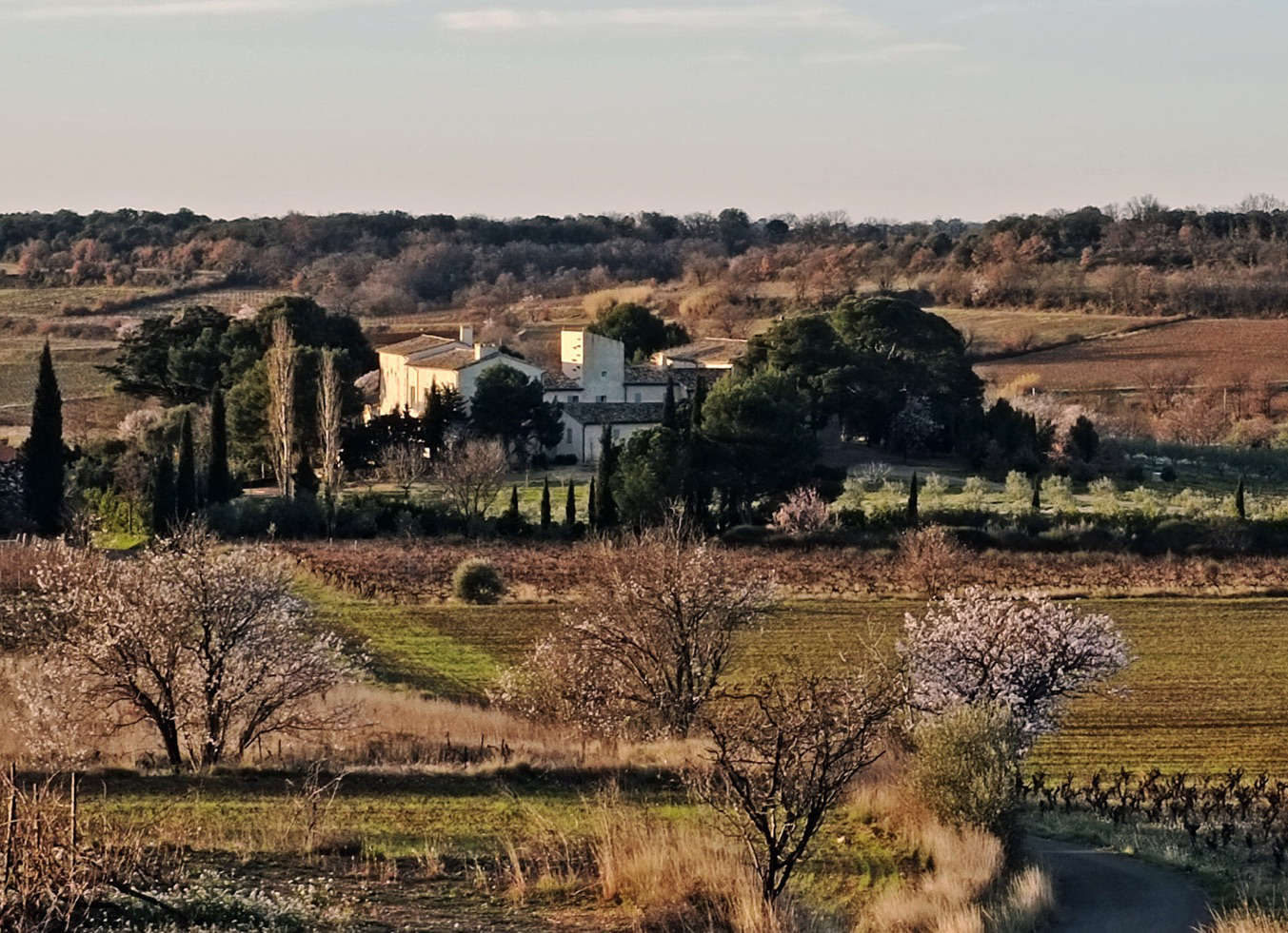 Vandring med lunch och vinprovning i Caux den 25 oktober