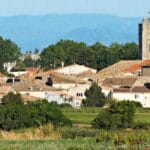 Vandring vid Pomerols vinfält