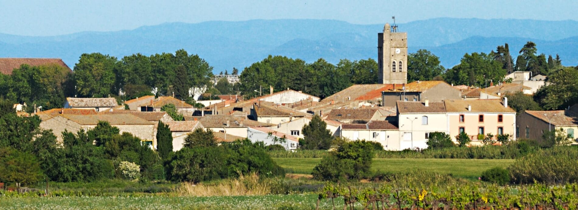 Vandring vid Pomerols vinfält