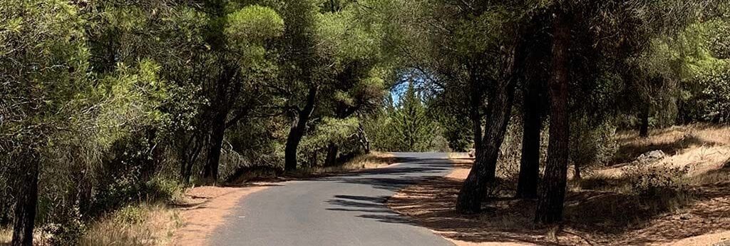 Vandring Le Mont Saint Loup