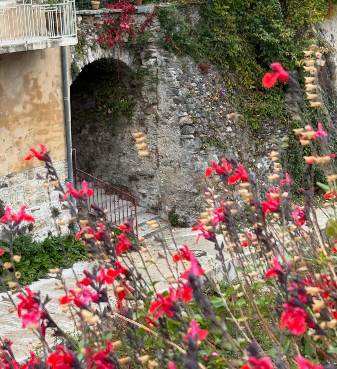 Sumène Aktiviteter Oktober 2025 – en kort resumée