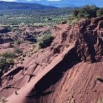 Januari vandring i spännande natur- Nytt datum 29/1