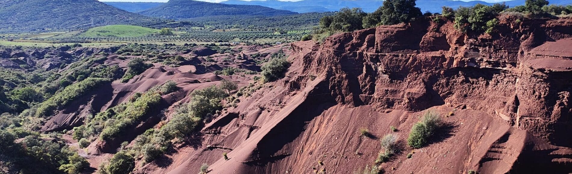 Januari vandring i spännande natur- Nytt datum 29/1