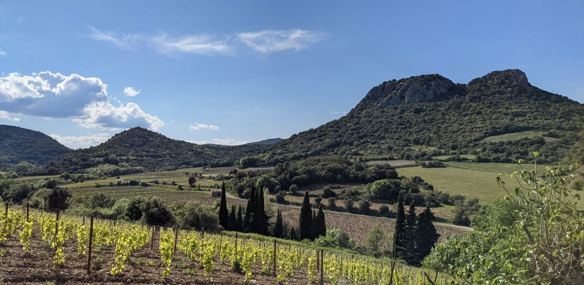 Välkommen på vandring i Cabrières